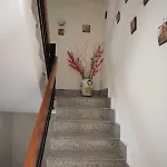 Area Domus Помпеи