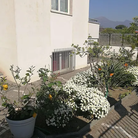 ベッド・アンド・ブレックファスト Area Domus