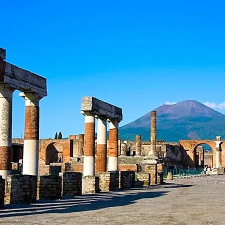 Area Domus