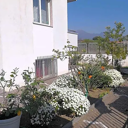 Area Domus B&B 폼페이
