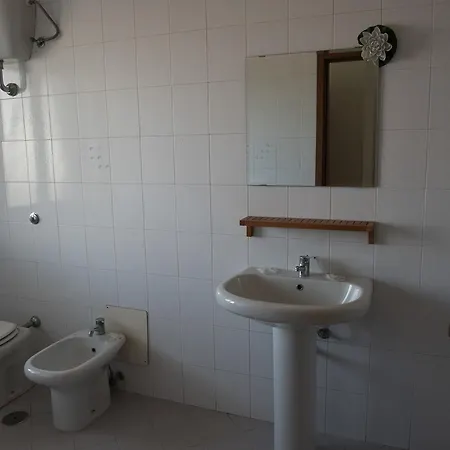 Area Domus