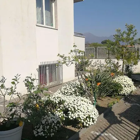 فندق مبيت وإفطار Area Domus 2*