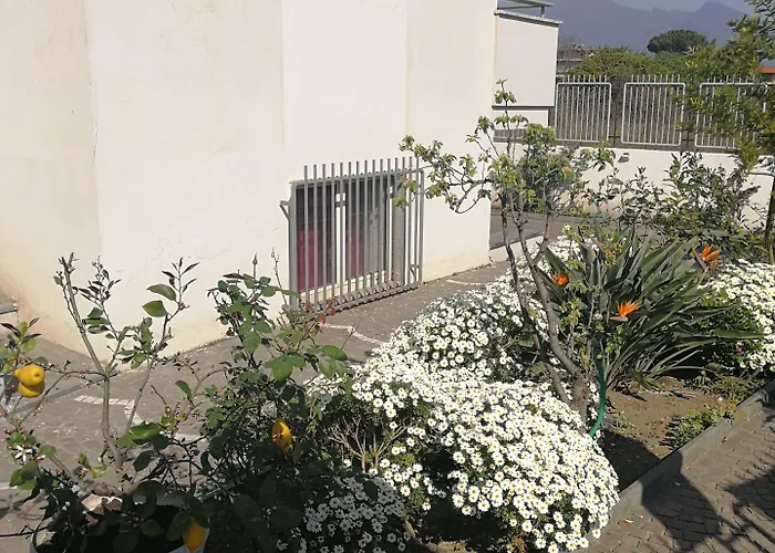 Bed & Breakfast Area Domus