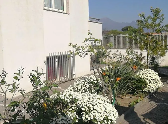 Alojamento de Acomodação e Pequeno-almoço Area Domus 4*